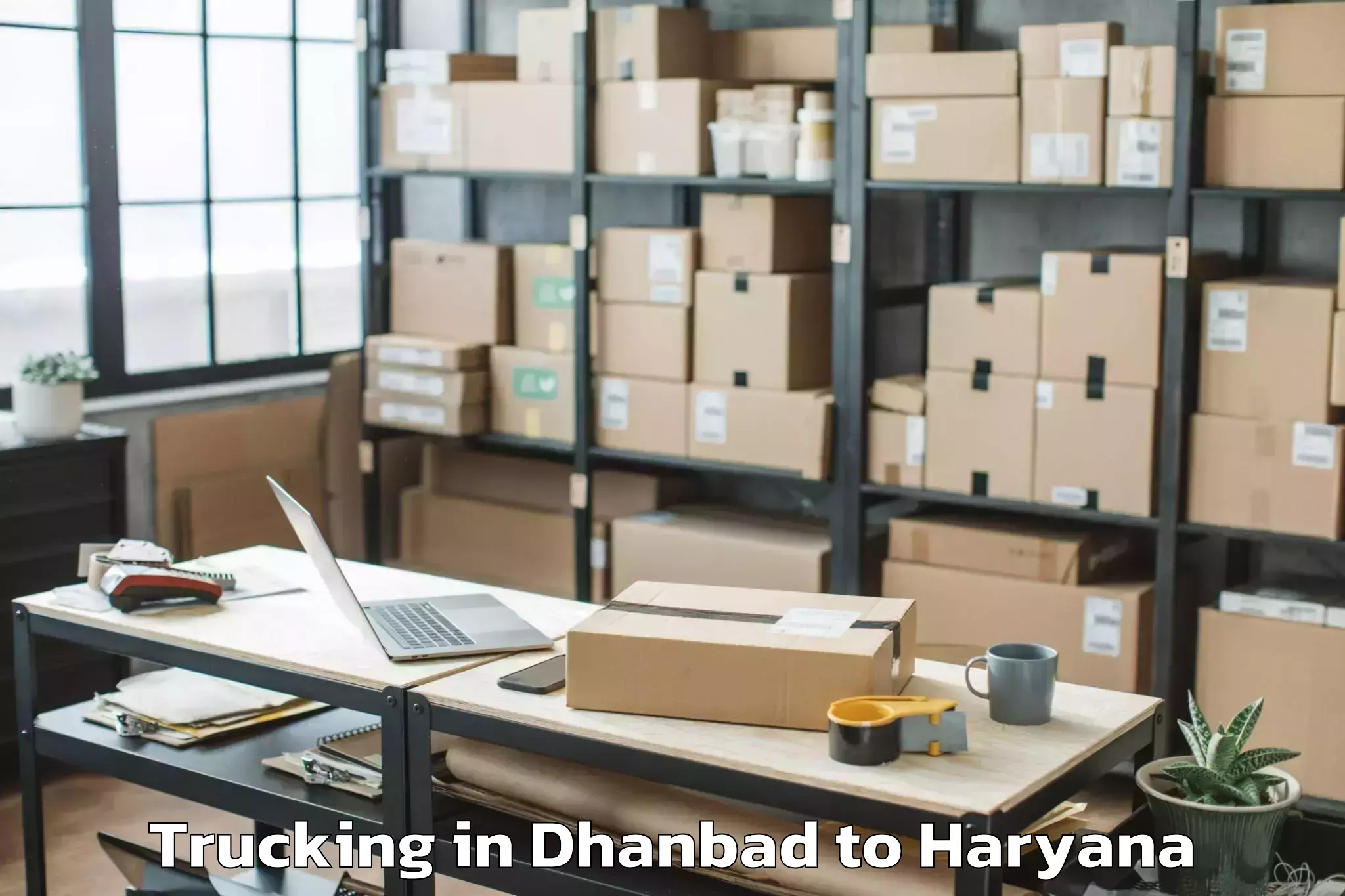 Top Dhanbad to Nilokheri Trucking Available